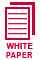 PLM White Paper