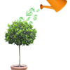 GROWING PAINS - Everyone Needs PLM Access but You Can’t Afford It?