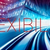 Digital Transformation Drives New Enterprise Software Criteria: Flexibility