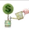 Can I Afford to Grow my PLM Implementation?