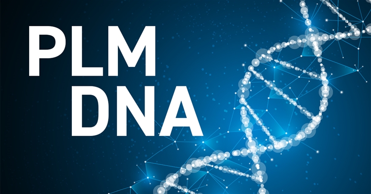 PLM DNA