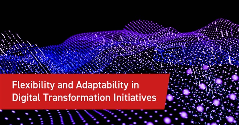 Flexibility and Adaptability in Digital Transformation Initiatives