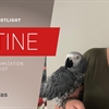 Employee Spotlight: Justine Holt, Campaign Optimization Specialist