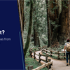 Aras Labs Update from Microsoft Build 2019