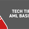 AML Basics