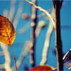 A Speedy Summer Sparks September