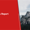 Item Access Report