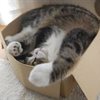 Has Playing by The Rules Nudged You Into a Box?