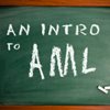 Intro to AML