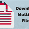 Download Multiple Files