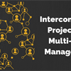 Interconnected Projects for Multi-level Management