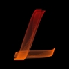 THE L IN PLM?