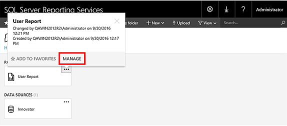 Set Rdl Files Data Source Export the RDL