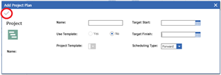 Project Form